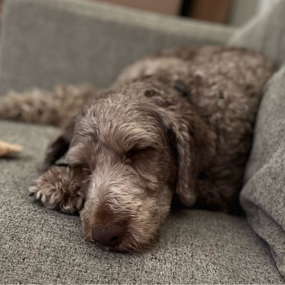 Meet your Posher, Julie - Picture 3 of 3